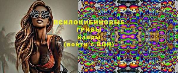 герыч Алексин
